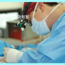 스카이비뇨의학과의원 네이버블로그