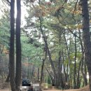 이칠약수터 이미지