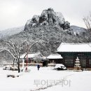 청송