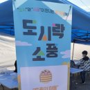 궁평2리 마을회관 이미지