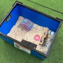 센트럴 곤충생태농장 | 호텔 숙박+곤충농장 체험까지! 센트럴 곤충농장 체험 후기🐛