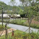 오수의견 국민여가캠핑장 이미지