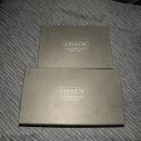 다미애