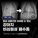소로동물병원