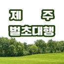 제주 벌초 대행 서비스 농협 및 지역 단체 총정리