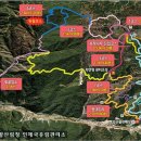 자작나무숲정상 이미지