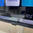 엘텐플러스