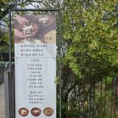 미당 | 당진 청보리밭 걷고 먹은 골동면｜미당면옥 솔직 후기