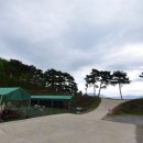도깨비수제베이커리 | 패러글라이딩 뷰 카페ㅣ단양도깨비카페 내돈내산 리뷰(애견동반 가능)