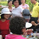 성산3리 이미지