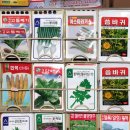종묘사