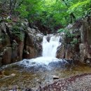 제709차(6/27)울산 대운산(742m) 도통골 계곡산행 이미지