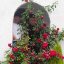 곱은달집 이미지