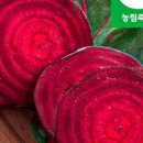 싱싱농산물식품 네이버블로그