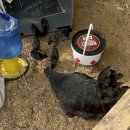 청계복지농장 이미지