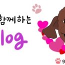 옴속옴속 이미지