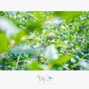 김경순농장 이미지