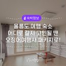 오징어여행사