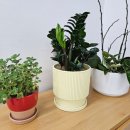 다원부동산공인중개사사무소 이미지