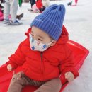 군포사슴목장 | 안성 팜랜드 다녀온 후기♡