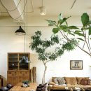 동영인테리어 이미지