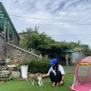 트윙클문 이미지