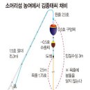 추자바다25시 이미지