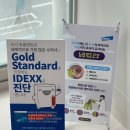 올케어 동물의료센터 | 대구 수성구 동물병원 추천 24시케어동물의료센터 건강검진 진도믹스 후기