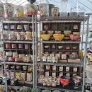 부영다육농장 이미지