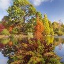 가을여행 이미지