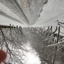 명동산장펜션 이미지