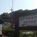 파주국제유치원 이미지