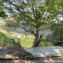 신리 노인회관 이미지