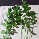 전혜숙농장 이미지