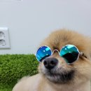 몽이슈(mong issue) 이미지