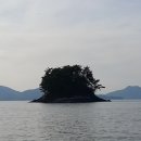 버드나무캠핑장 이미지