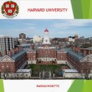 원어민에게 배우는 영어 이미지