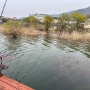 태공낚시 | 초평낚시터 좌대낚시터 태공좌대 감성 낚시 후기