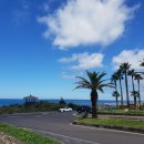 유니 풀빌라 이미지