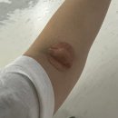하남시미사보건센터 | 하남보건소 미사보건센터 산전검사 받고왔어요 항목/비용