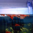 대일세탁소 이미지