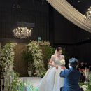 대전충청 | 충청권 대전 아이폰 스냅 디에이스냅 본식 후기