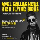 하이플라잉 이미지