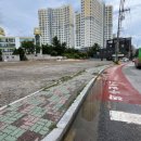 주정차80 이미지