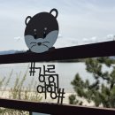솔향기 | 아이랑 강릉여행 연곡해변솔향기캠핑장 카라반D705 명당 후기