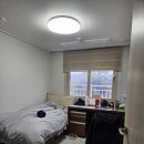 로얄트리 이미지