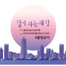 팔팔꼬레아 | 라면냄비 핀일로 냄비 스텐냄비 열전도율 최고다..bb