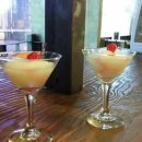 춘자비어 이미지