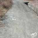 조아 태양광발전소 이미지