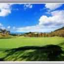 포항골프장(회원제) 이미지